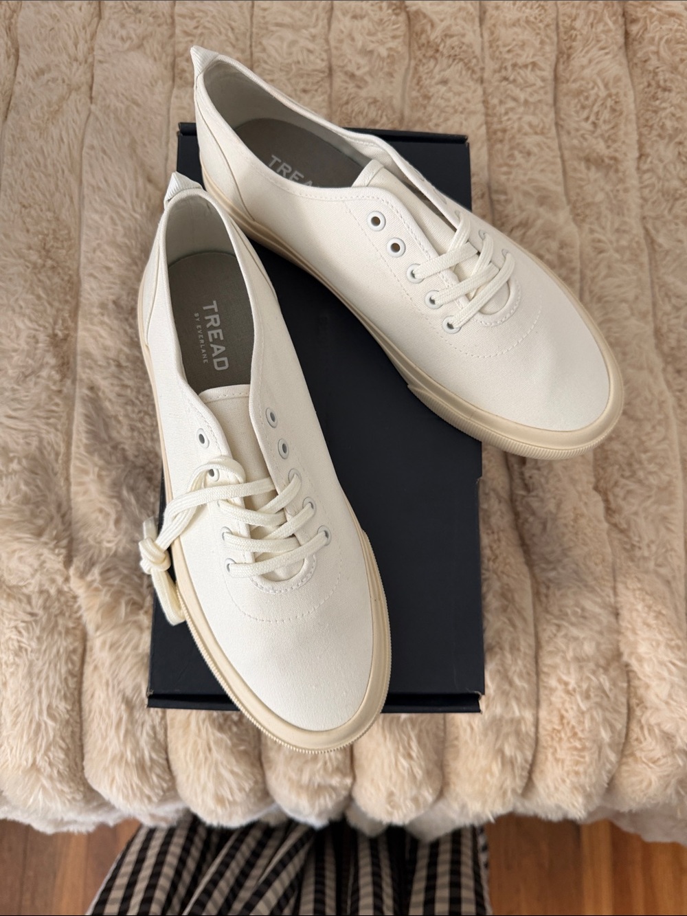 Everlane Tread Low-Top Canvas Sneakers - Off-White/Cream